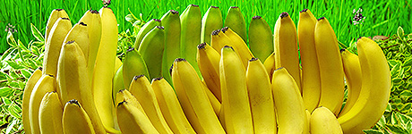 Banani